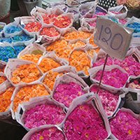 Pak Klong Talat Flower Market 